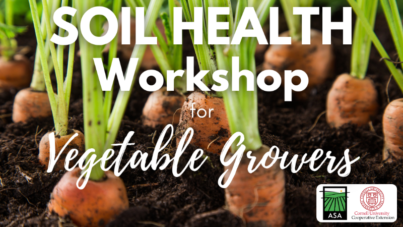 Soil Health for Vegetable Growers Workshop 